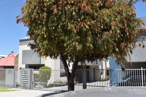 Central Executive Townhouse - New Castle Holiday 9