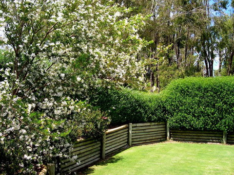 Bayside Villas - New Castle Holiday 34