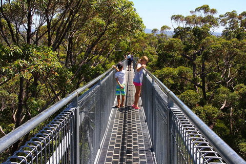 Bayside Villas - New Castle Holiday 16