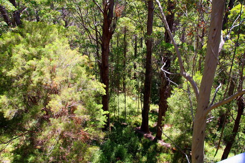 Bayside Villas - New Castle Holiday 5