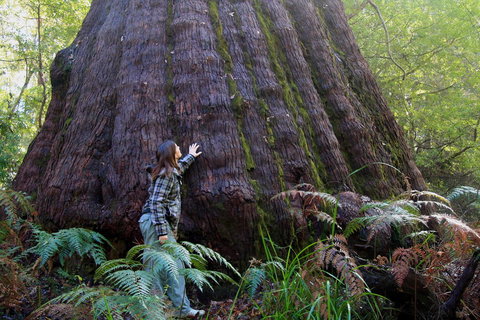 Bayside Villas - New Castle Holiday 4