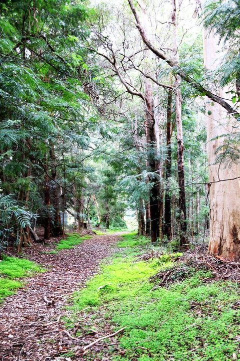 Treenbrook Cottages - New Castle Holiday 12