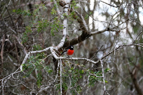 Treenbrook Cottages - New Castle Holiday 5