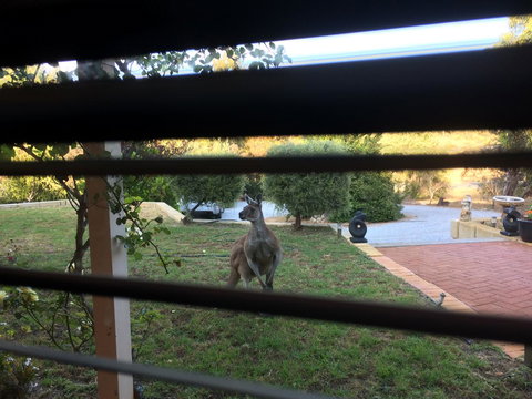 Seatrees Accommodation - New Castle Holiday 37