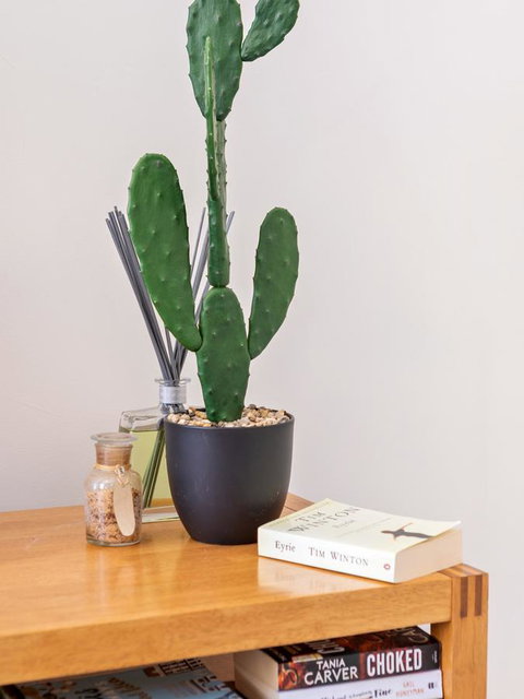 Cooper Street - New Castle Holiday 23