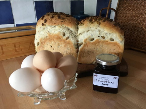 Kangaroo Valley Cottage - New Castle Holiday 14