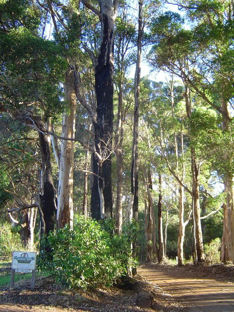 Kangaroo Valley Cottage - New Castle Holiday 21