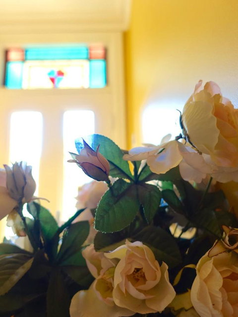 The Blacksmiths Cottage - New Castle Holiday 16