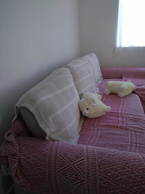 DIANELLA Budget Rooms Happy Place To Stay - New Castle Holiday 29