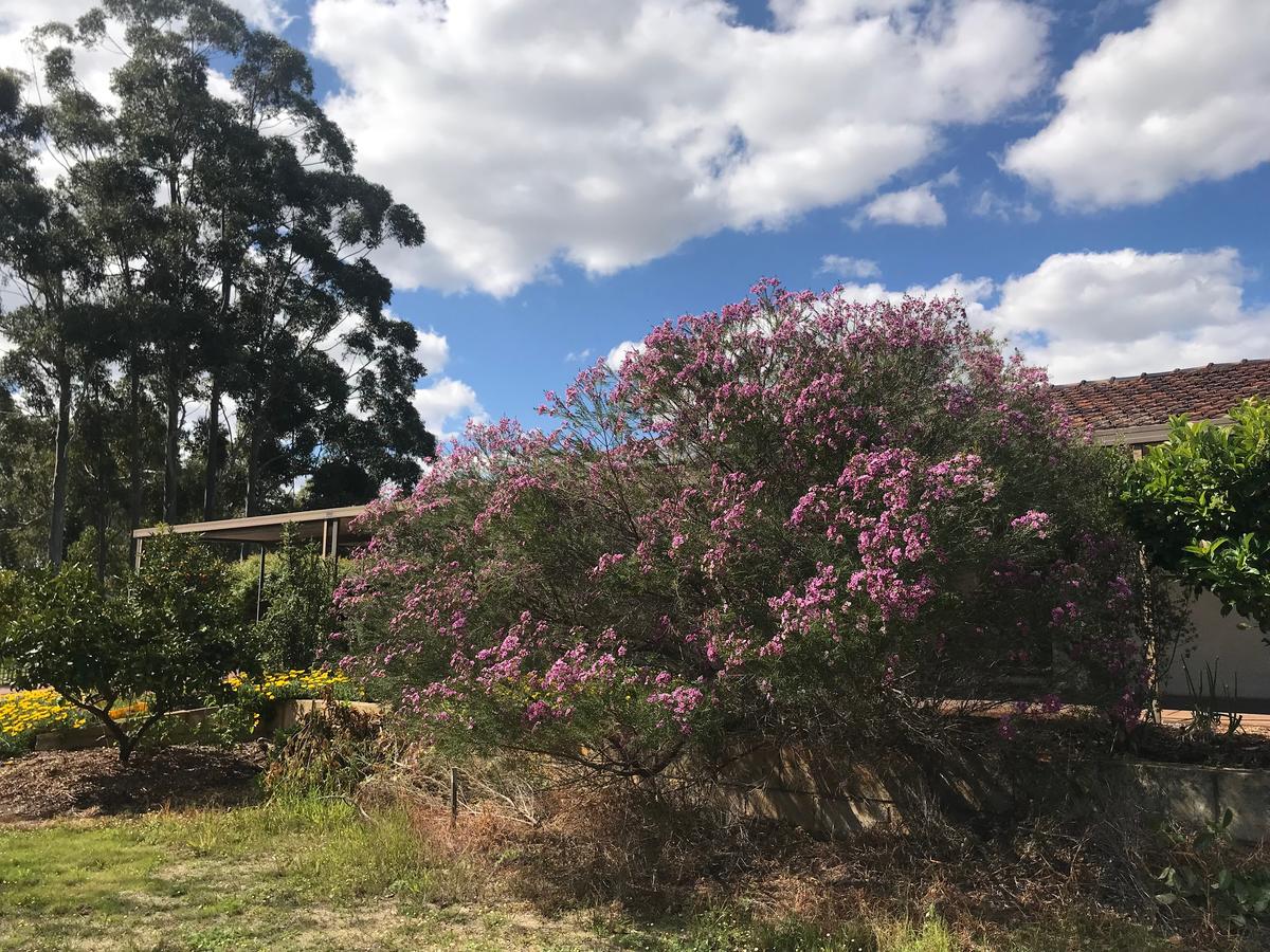 Cockburn Central WA New Castle Holiday