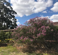 Cockburn Retreat Home  - New Castle Holiday