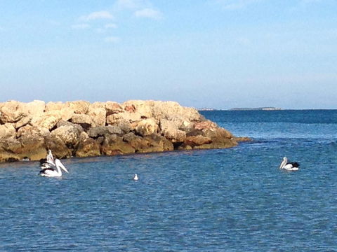 Gypsy Cottage - New Castle Holiday 13