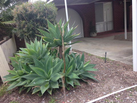 â˜… Stylish Family Home! â˜… - New Castle Holiday 2