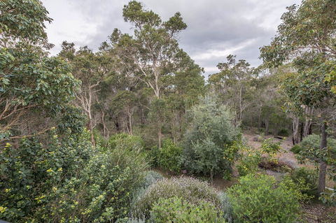 A Hidden Bush Delight - New Castle Holiday 7