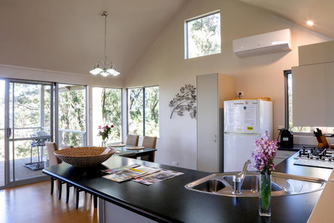 Pelicans At Denmark - New Castle Holiday 1