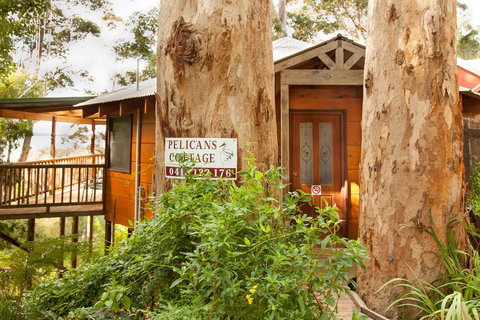 Pelicans At Denmark - New Castle Holiday 7