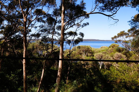 Pelicans At Denmark - New Castle Holiday 3