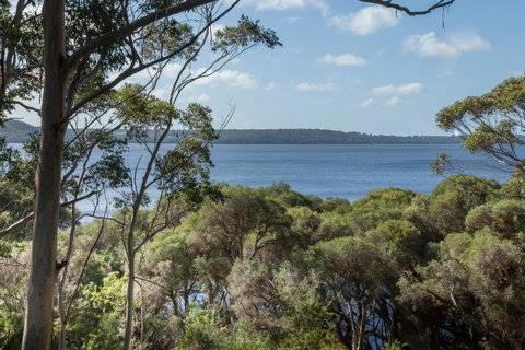 Pelicans At Denmark - New Castle Holiday 8