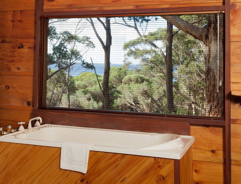 Pelicans At Denmark - New Castle Holiday 10