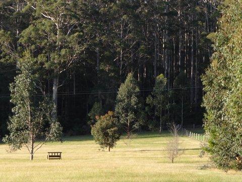 Big Brook Retreat - New Castle Holiday 5