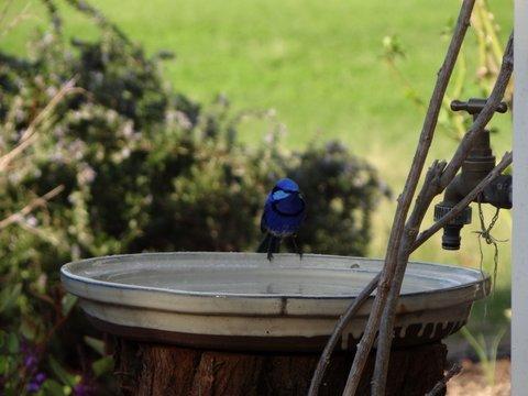 Big Brook Retreat - New Castle Holiday 6