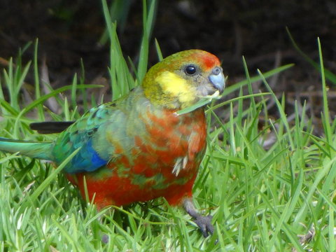 Big Brook Retreat - New Castle Holiday 13