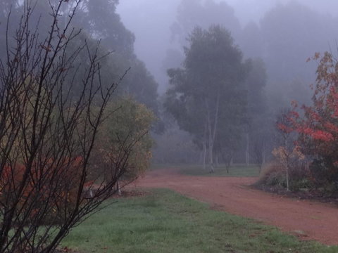 Big Brook Retreat - New Castle Holiday 14