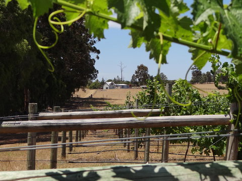 Big Brook Retreat - New Castle Holiday 8