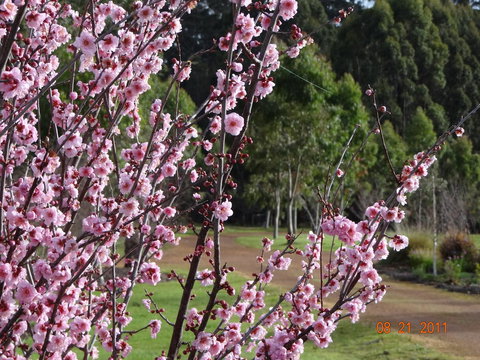 Big Brook Retreat - New Castle Holiday 9