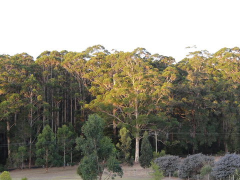 Big Brook Retreat - New Castle Holiday 11