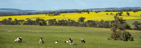 Kendenup Cottages And Lodge - New Castle Holiday 44
