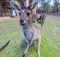 Yelverton Brook Eco Spa Retreat  Conservation Sanctuary - New Castle Holiday