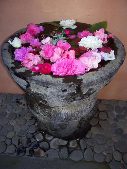 Riveresque - New Castle Holiday 15