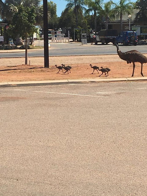 Exmouth 4 Escape - New Castle Holiday 22