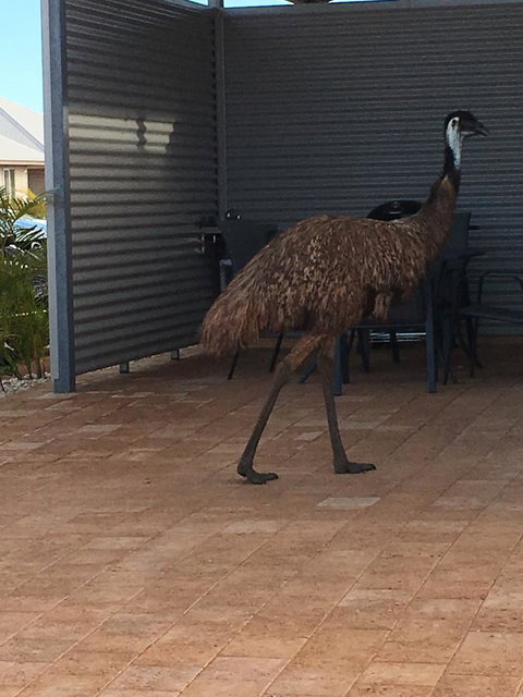 Exmouth 4 Escape - New Castle Holiday 23