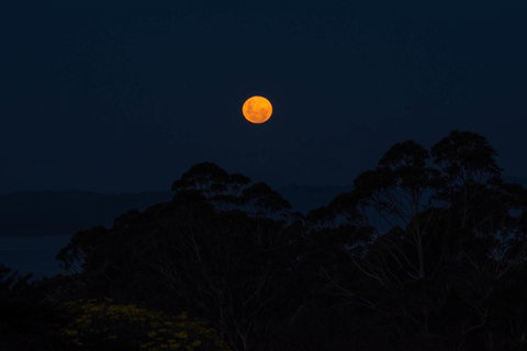 Celestine Retreat - New Castle Holiday 11