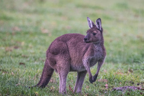 Celestine Retreat - New Castle Holiday 4