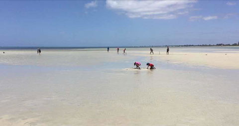 Beach House Dunsborough - New Castle Holiday 22