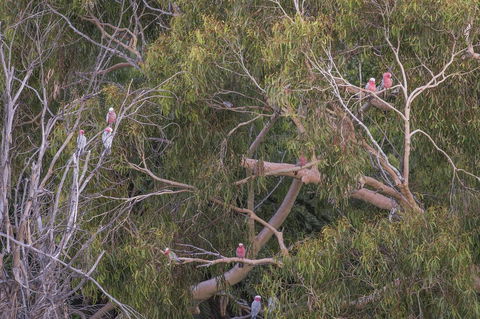 12/26 Yallingup Beach Road - New Castle Holiday 19