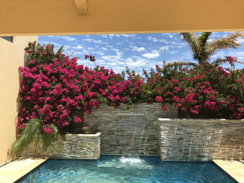 Le Boulevard - New Castle Holiday 17