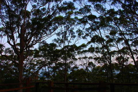 Ark Of Denmark - New Castle Holiday 27