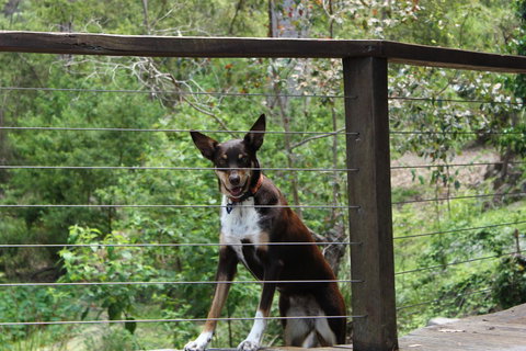 Ark Of Denmark - New Castle Holiday 10