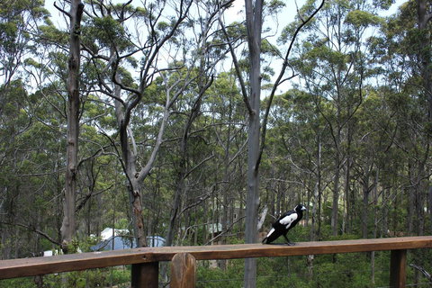 Ark Of Denmark - New Castle Holiday 11