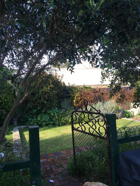 RoseMoore Bed & Breakfast - New Castle Holiday 1