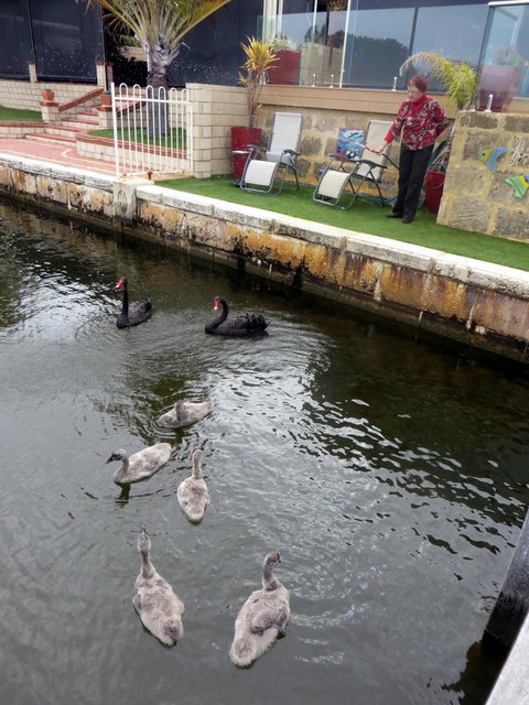 Yunderup Kannie Kottage - New Castle Holiday 14