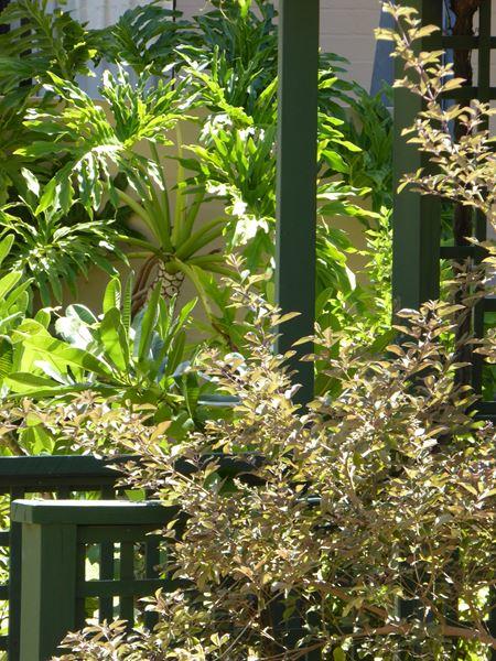 Kalbarri Beach Resort - New Castle Holiday 32