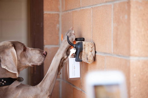 EUCLA MOTOR HOTEL - New Castle Holiday 21