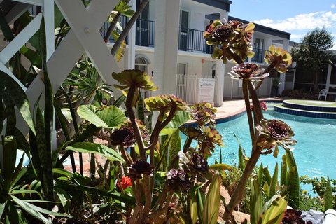 West Beach Lagoon 213 - Corner Unit! - New Castle Holiday 12