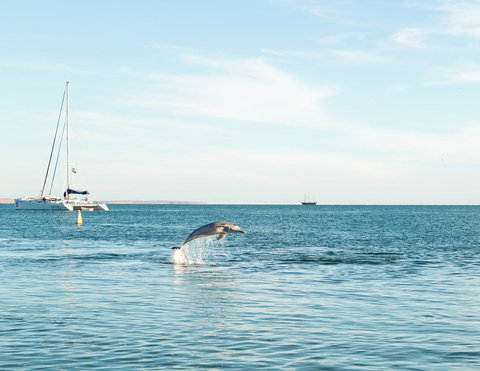 Wildsights Villas - New Castle Holiday 11