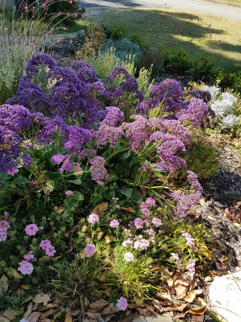 While Away Holiday Accommodation - New Castle Holiday 16